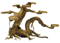 Superfish Bonsai Planter (Maat S), miniatuur 2