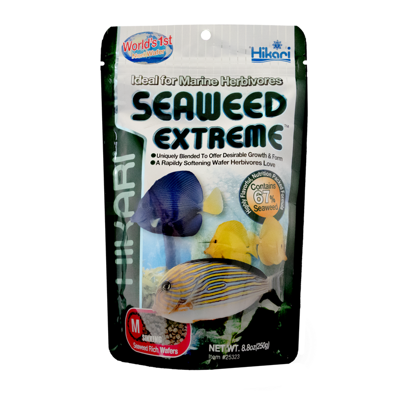 Hikari Seaweed Extreme M Wafer 250 gram - Zeewiervoer voor herbivore zeewatervis, afbeelding 2 Visvoer