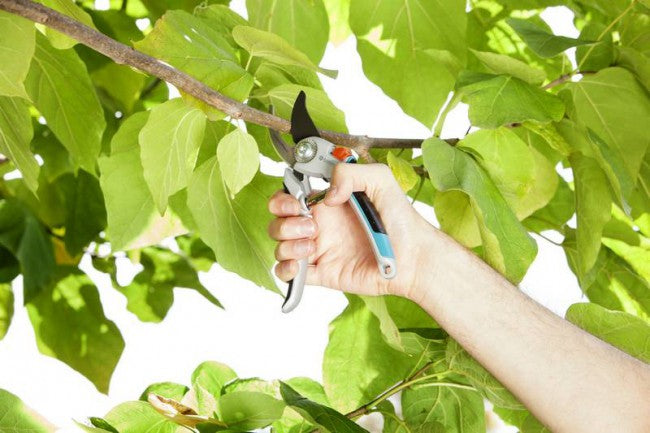 Gardena Comfort Snoeischaar Alu, afbeelding 4 Tuingereedschap