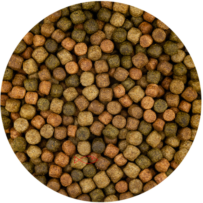 Vivani Top Mix 6mm - (2 Kilo Zak) - productfoto, Koivoer Basis bij Vijvercentrum