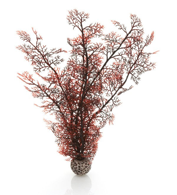 biOrb hoornkoraal groot donkerrood | Oase productafbeelding, detailaanzicht Aquarium Decoratie
