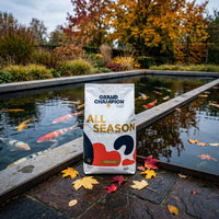 Grand Champion All Season najaar bij vijver, miniatuur 4