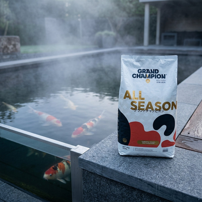 Grand Champion All Season ochtend bij vijver, afbeelding 4 Koivoer