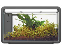 Superfish Home 30 Aquarium Zwart - Compleet Starterset, miniatuur 2