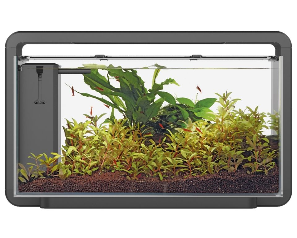 Superfish Home 30 Aquarium Zwart - Compleet Starterset