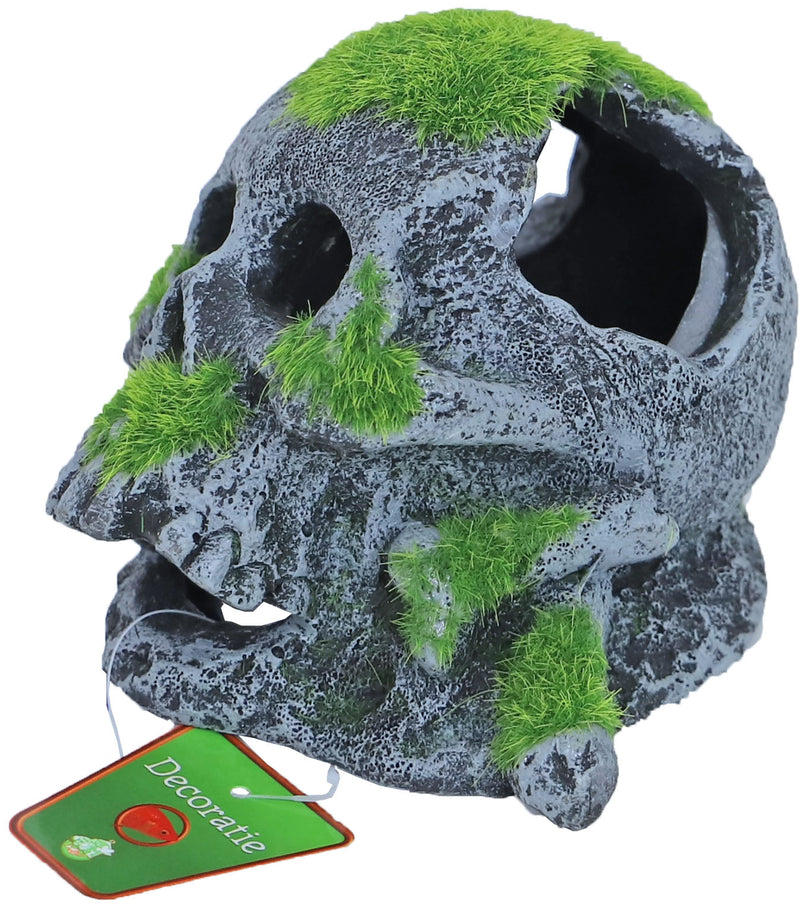 Boon Ornament Schedel met Mos 12x13cm - Aquariumdecoratie polyresin, afbeelding 2 Aquarium Decoratie