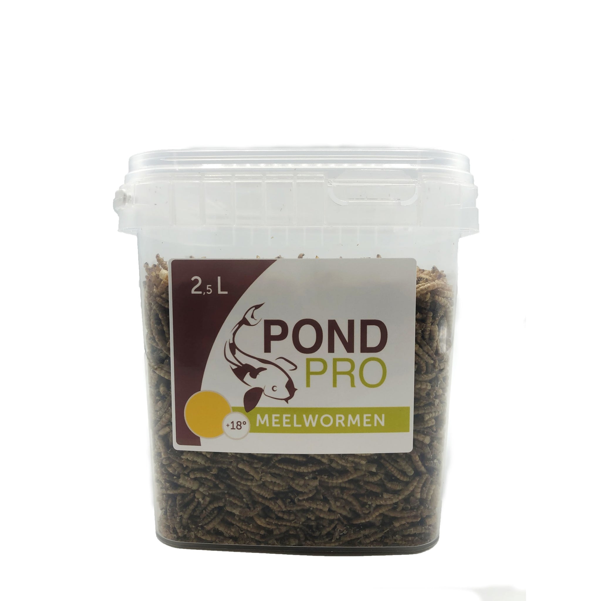 Pond Pro Meelwormen - 2,5 Liter Emmer - productfoto