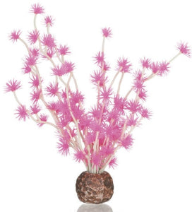 biOrb Bonsai Ball Roze - decoratieve bonsaiplant voor biOrb aquarium, afbeelding 2 Aquarium Decoratie