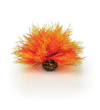 biOrb Aquarium zeelelie vuur | Oase productafbeelding, miniatuur 2