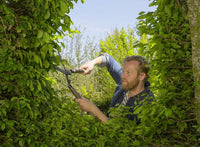 Gardena NatureCut heggenschaar FSC 100% - Duurzame heggenschaar met houten grepen, miniatuur 4