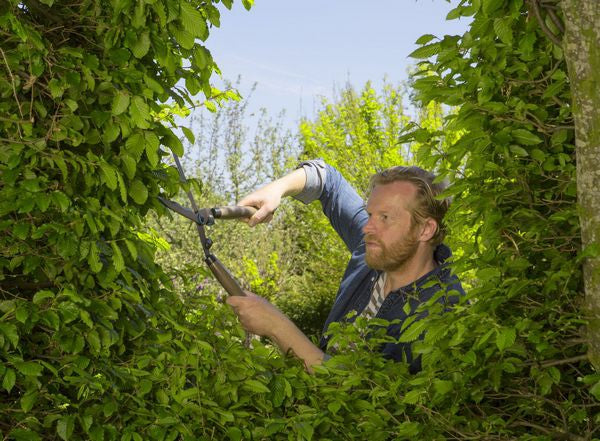 Gardena NatureCut heggenschaar FSC 100% - Duurzame heggenschaar met houten grepen