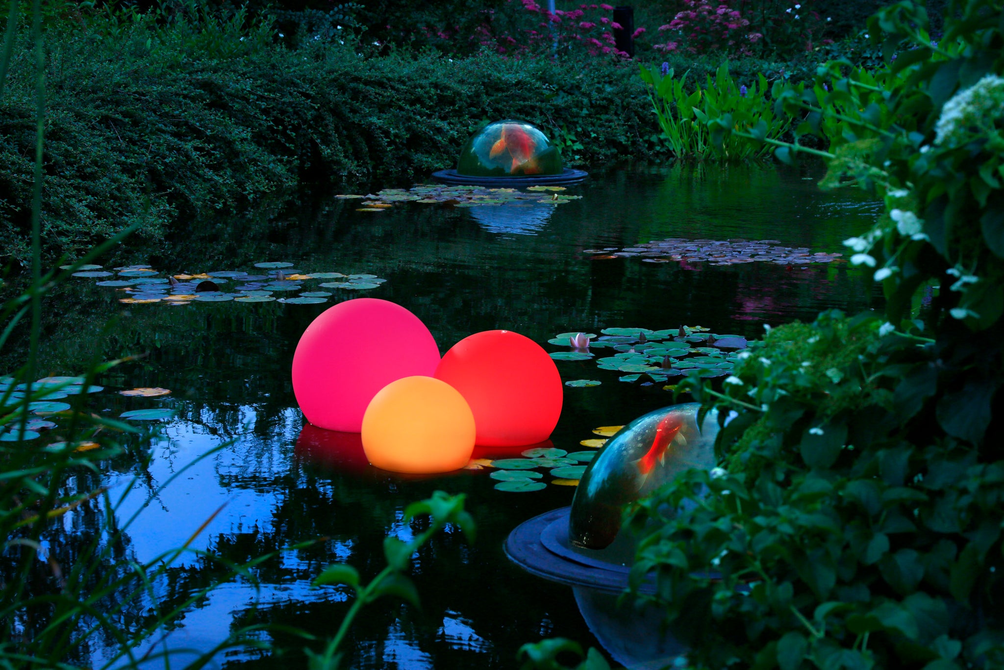 Velda Floating Color Light lichtbollen met multicolor verlichting in een vijver
