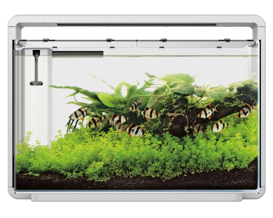 Superfish Home 65 Aquarium Wit - Compleet Starterset