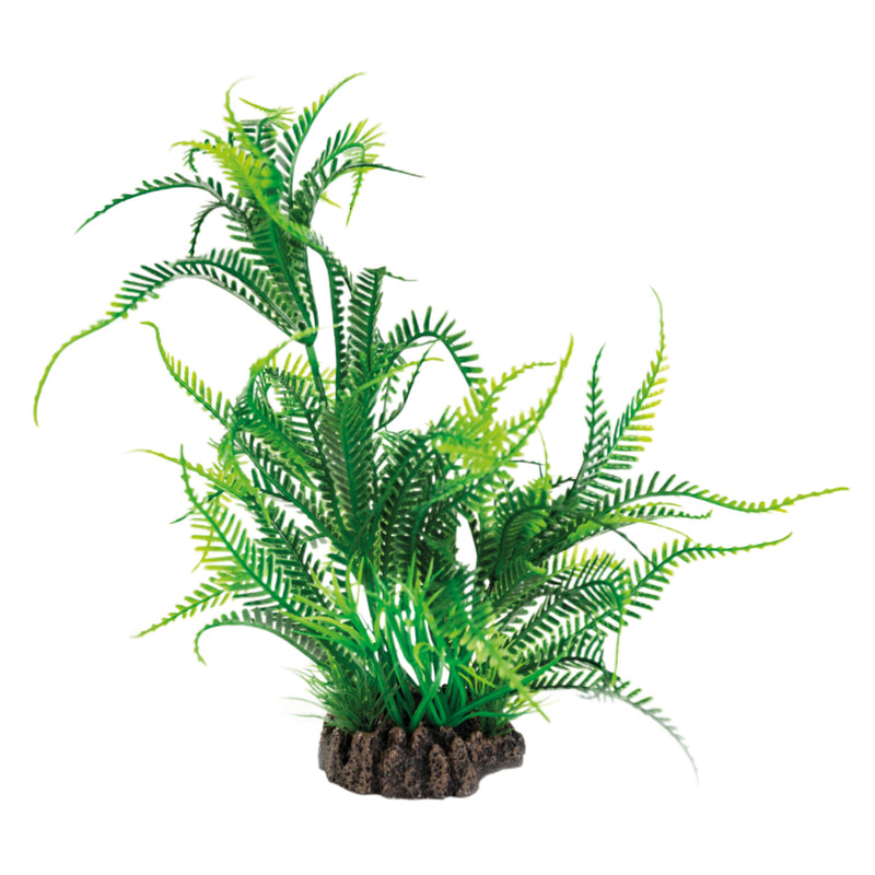 SW6 sync A4070830 #1 — Aquarium Plantenvoeding bij Vijvercentrum