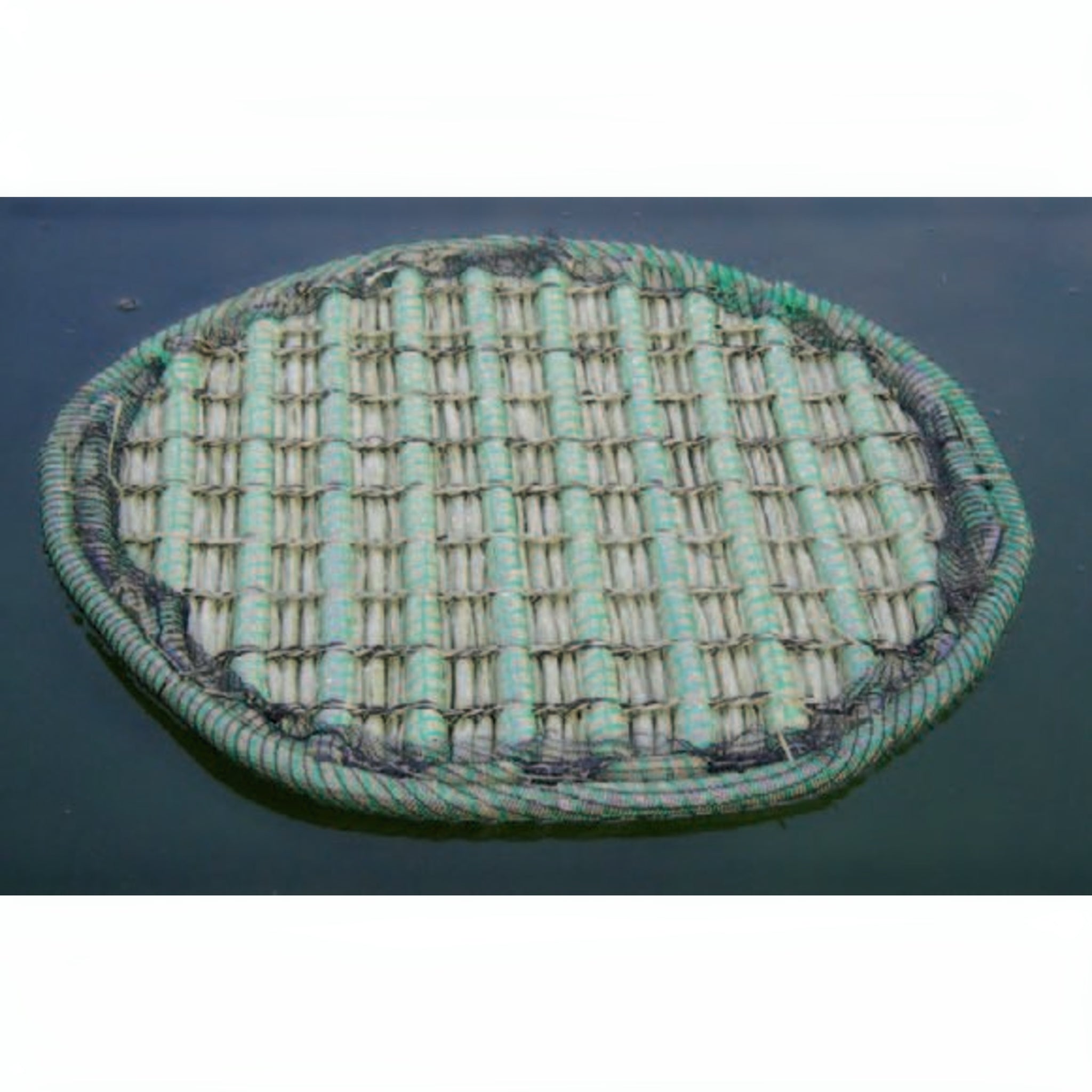 Europond Drijvend Planteneiland Rond Type Ø 41 - productfoto