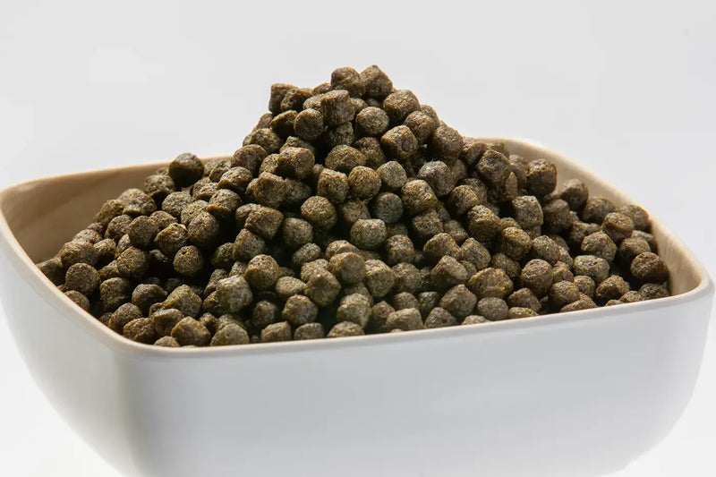 KS - Color 3mm (spirulina) - 6 kg - 3mm - 6 kg zak - detail, detailaanzicht Koivoer Kleur