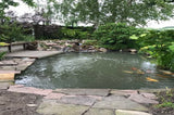 Vijverproject Geerlings