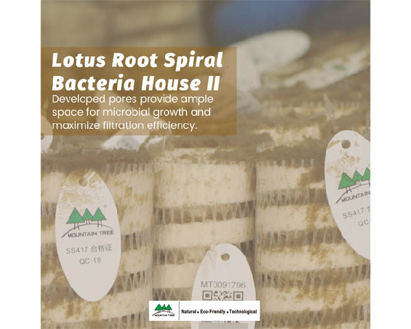 Mountain Tree Lotus Root Bacteria House II doos a 24 stuks 16,5 x 4,5 cm - afbeelding 3