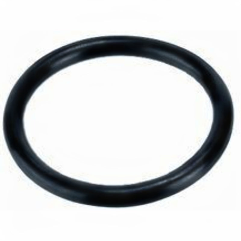 Europond O-ring EPDM 113 x 5,3 110mm koppeling - productfoto, PVC Hulpstuk bij Vijvercentrum