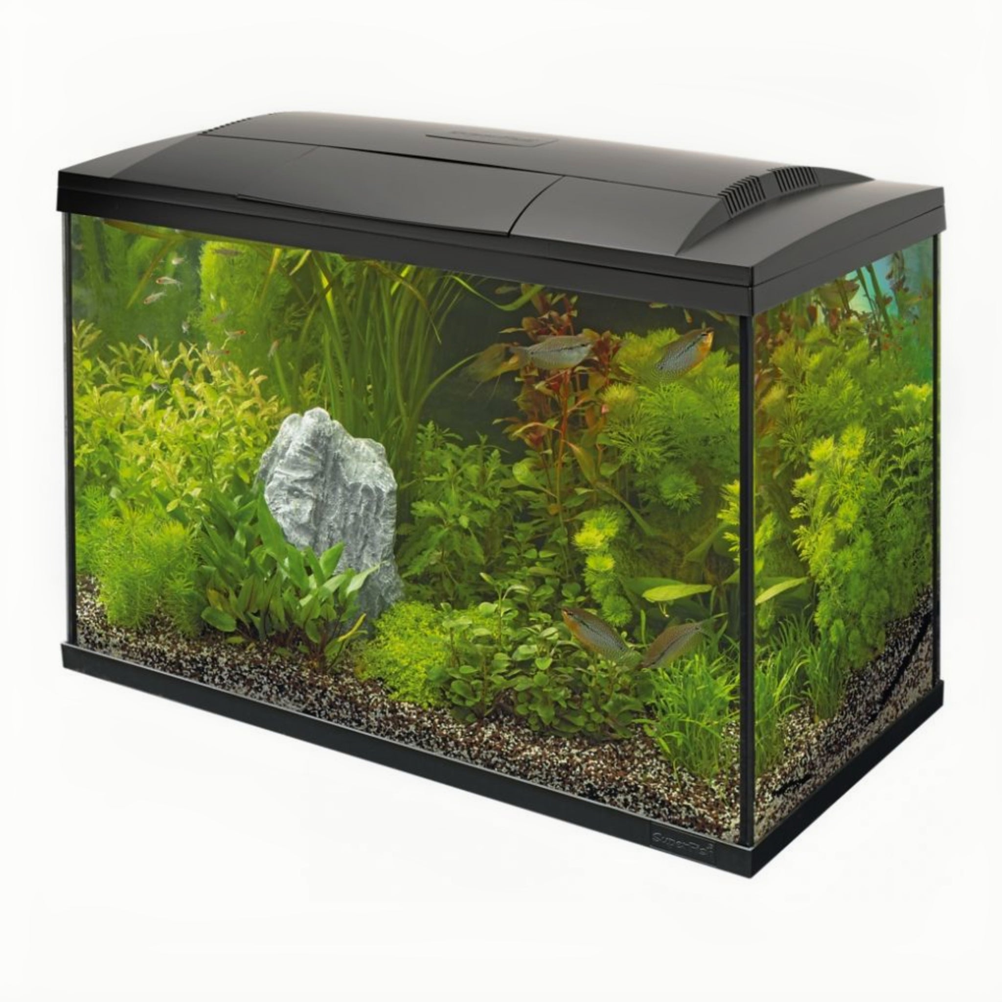 Superfish Start 100 Tropical Kit zwart - compleet aquarium 100 liter