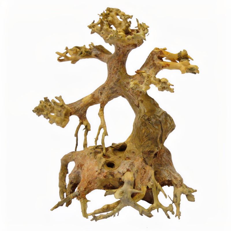 Superfish Bonsai Driftwood Xs - productfoto, Aquarium Bonsai bij Vijvercentrum