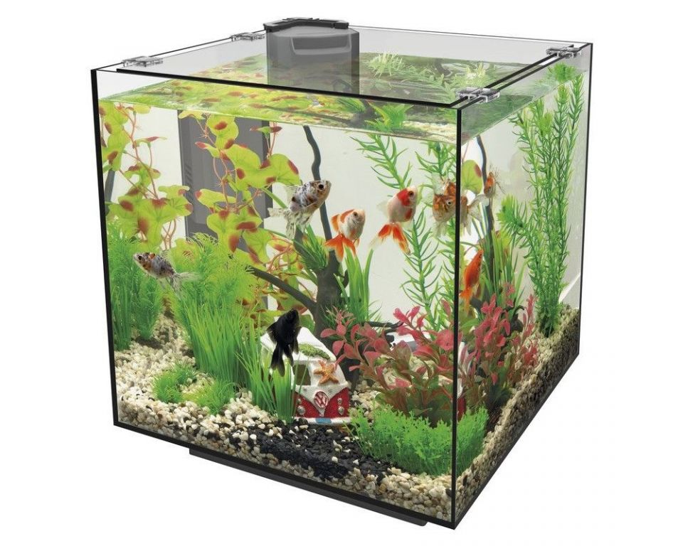 SuperFish QubiQ 30 zwart ingericht voorbeeldbeeld