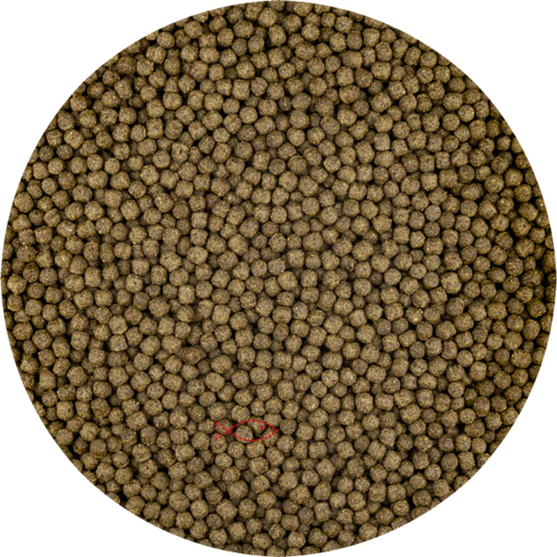 Vivani Color met Spirulina 3mm (6 Kilo Zak) - productfoto, Koivoer Kleur bij Vijvercentrum