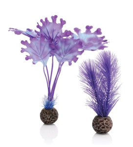 biOrb Zeewier Set Klein Paars - Kunstplanten voor biOrb aquarium