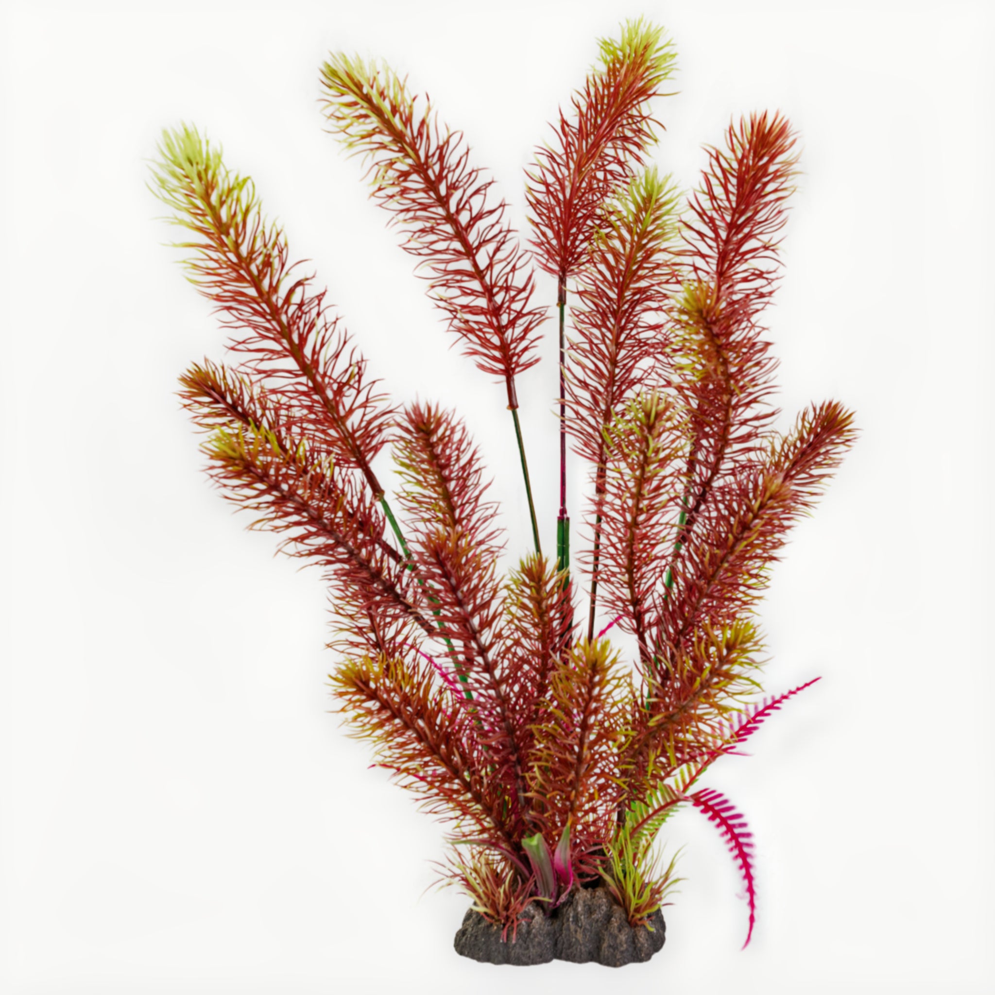 Superfish Art Plant 40cm Myriophyllum Red - productfoto