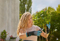 Gardena Handschoenen Rozenonderhoud (Maat L/9) - Tuinhandschoen, miniatuur 5