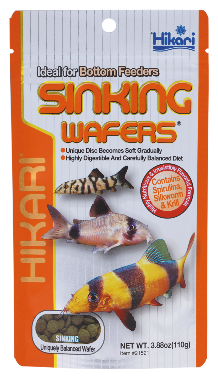 Hikari Sinking Wafers 1 kg - voordeelverpakking bodemvisvoer