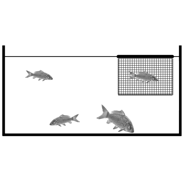 Kns Drijvend Inspectienet 100 x 60 x 40 cm (standaard) - afbeelding 3