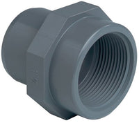 Aquaforte Inzetschroefbus 40 x 1¼" lijm x binnendraad - productfoto, miniatuur 2