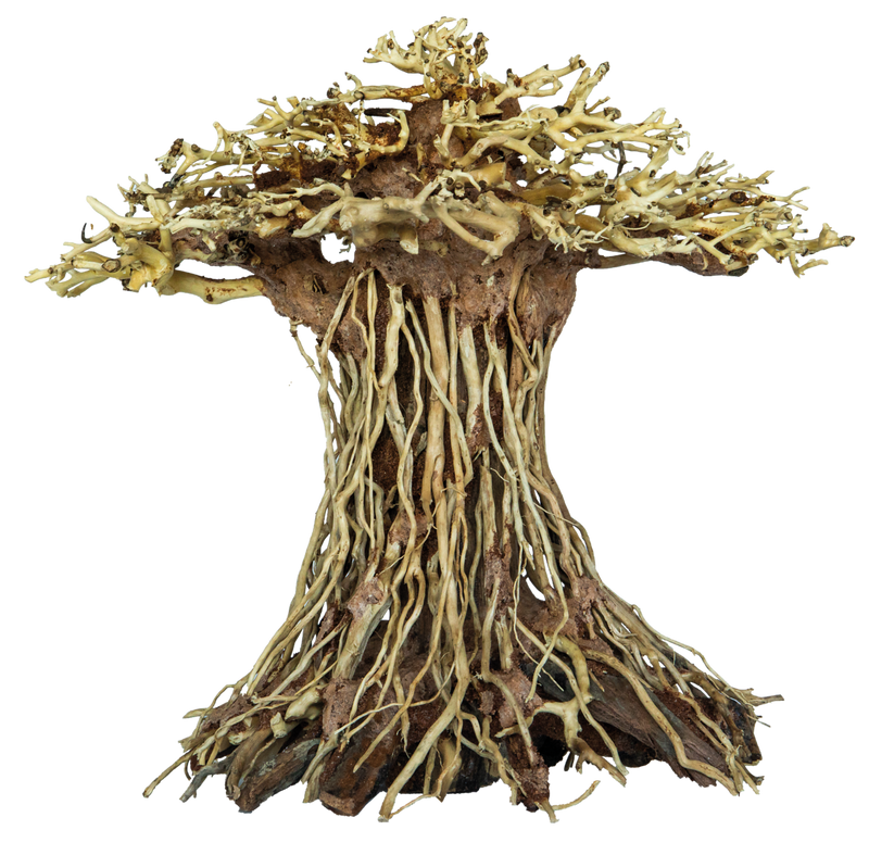 Superfish Bonsai Mushroom Aquarium Decoratie - Large, afbeelding 2 Aquarium Bonsai
