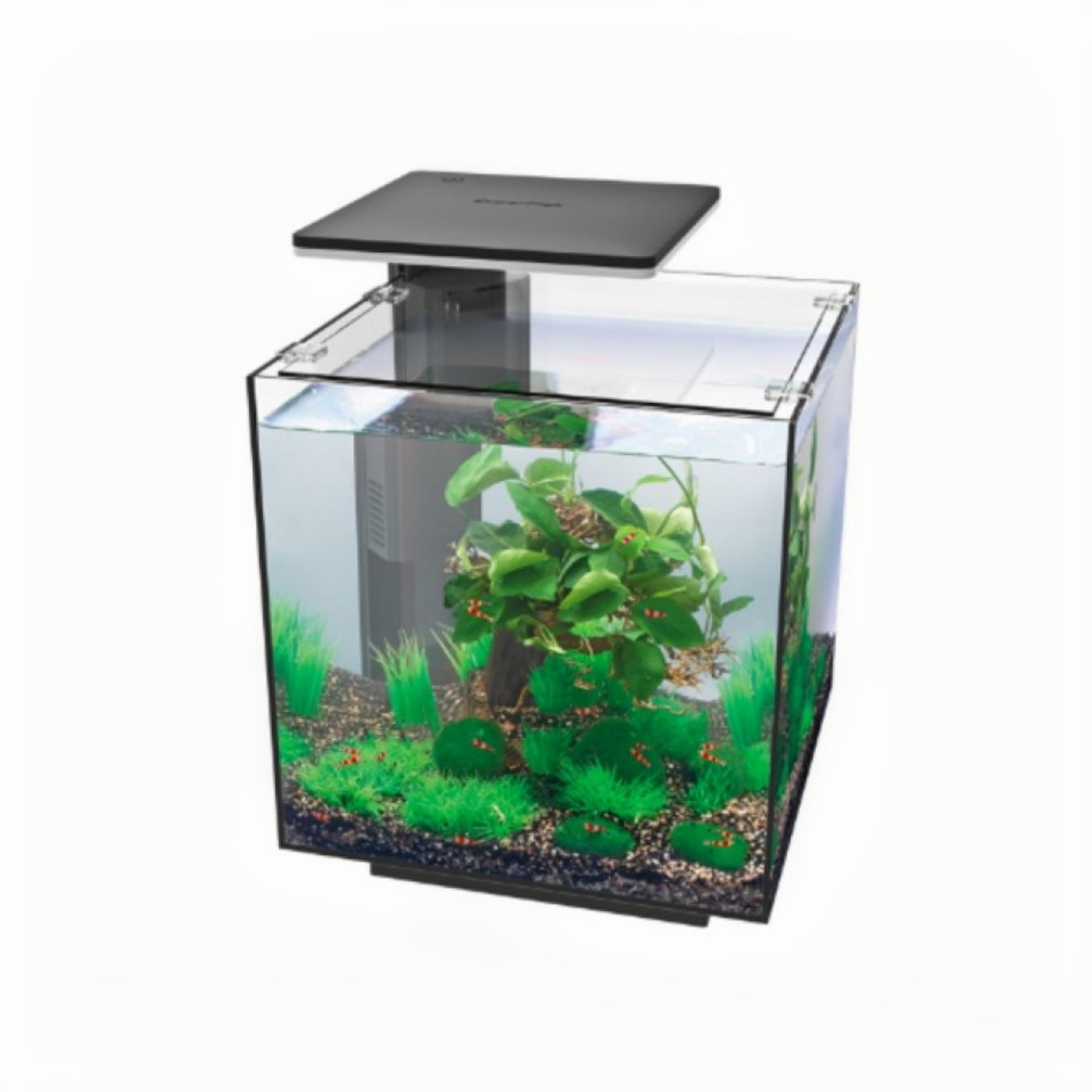 SuperFish QubiQ 60 Pro zwart 60 liter aquariumset