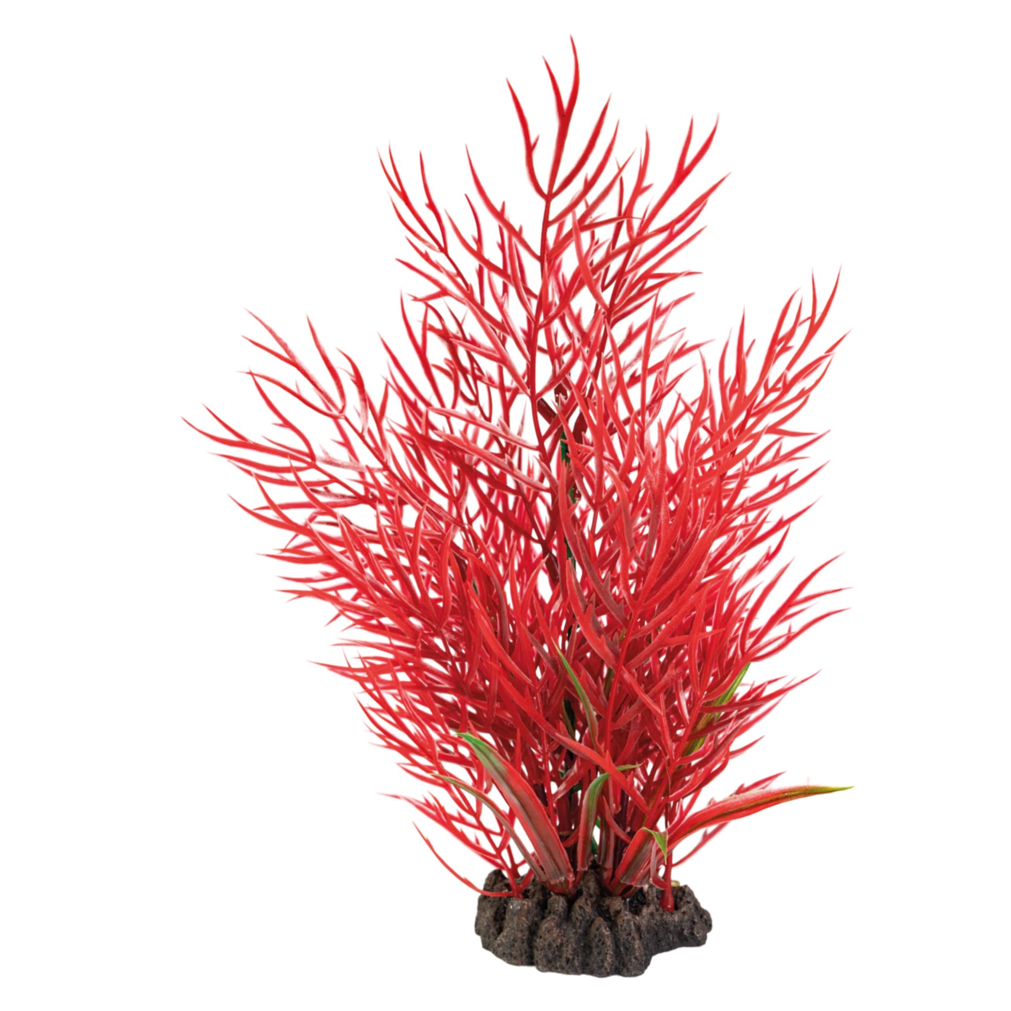 Superfish Art Plant 25cm Ludwigia - productfoto