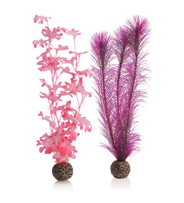 biOrb Zeewier Set Medium Roze - Kunstplanten voor biOrb aquarium, afbeelding 2 Aquarium Decoratie