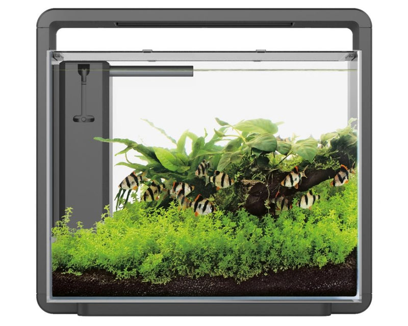 Superfish Home 45 Aquarium zwart - compleet aquarium, afbeelding 2 Aquarium