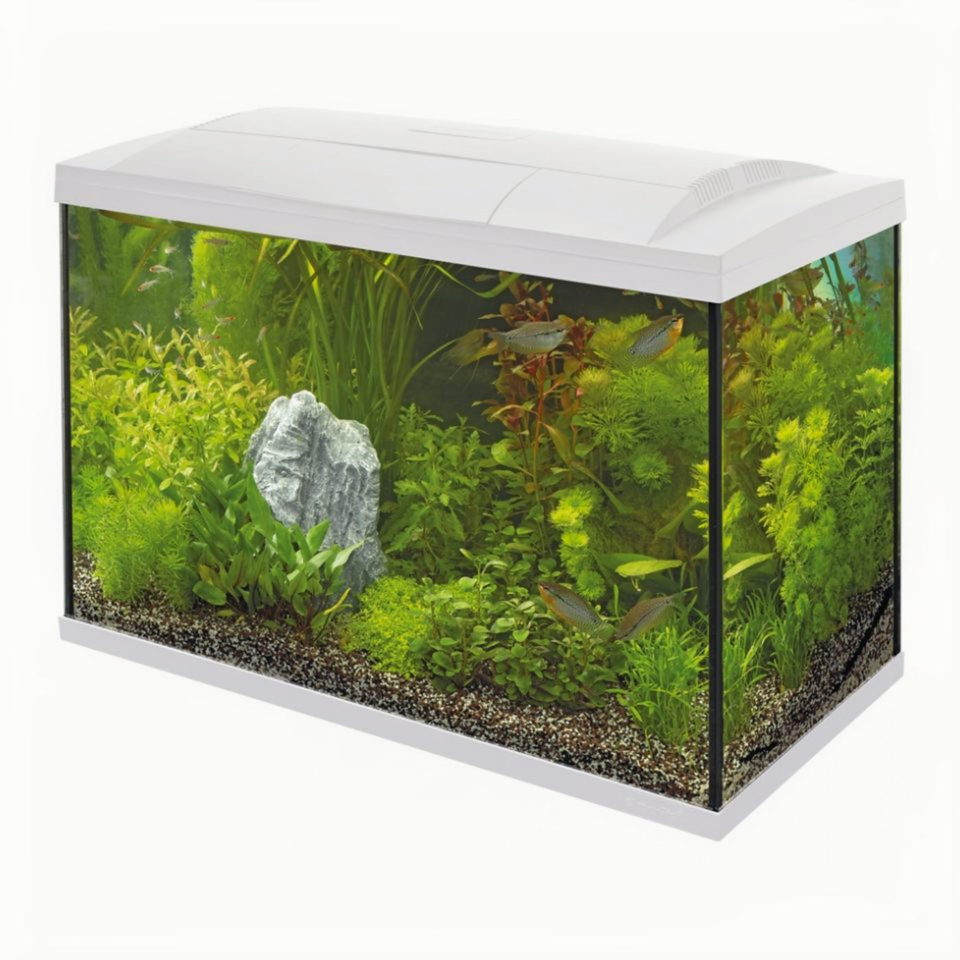 Superfish Start 150 Tropical Kit Wit - productfoto