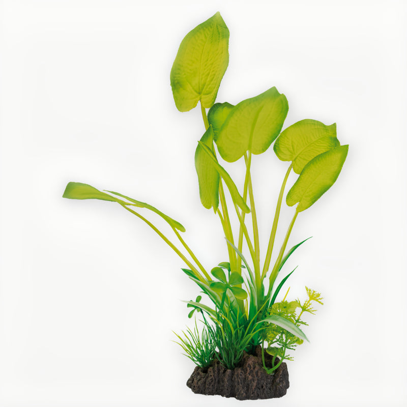 Superfish Art Plant 25cm Echinodorus - productfoto, Aquarium Decoratie bij Vijvercentrum