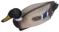 Oase vijverfiguur wilde eend mannetje decoratief vijverornament, miniatuur 2