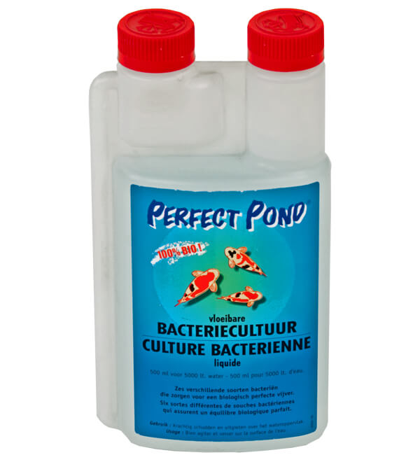 Perfect Pond Vloeibare Bacterien 250 ml - productfoto, detailaanzicht Vijverbacterie