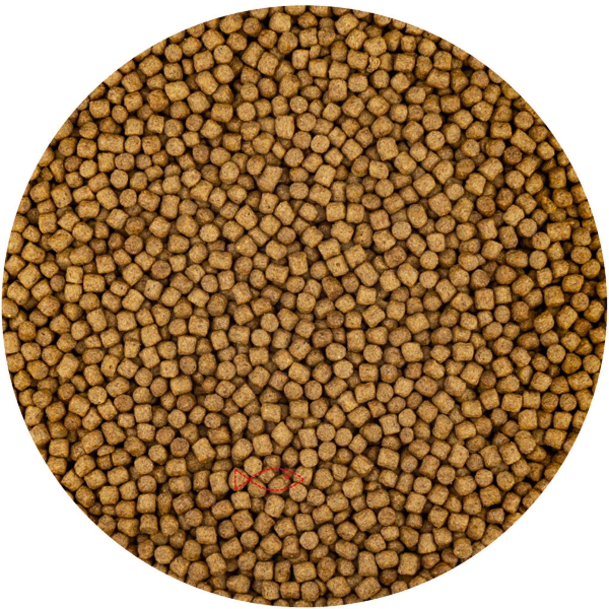 Vivani Wheat Germ 3mm - (2 Kilo Zak) - productfoto
