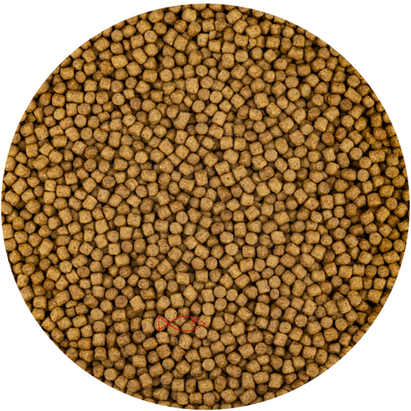 Vivani Wheat Germ 3mm - (2 Kilo Zak) - productfoto, Koivoer Seizoen bij Vijvercentrum