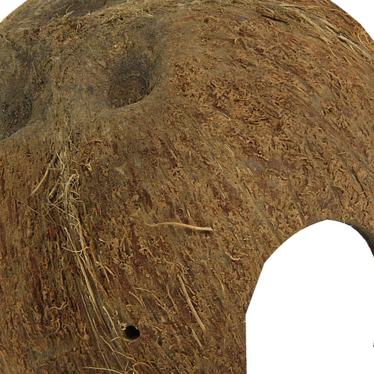 JBL Cocos Cava 1/2M natuurlijke kokosvezel textuur en ingang detailopname
