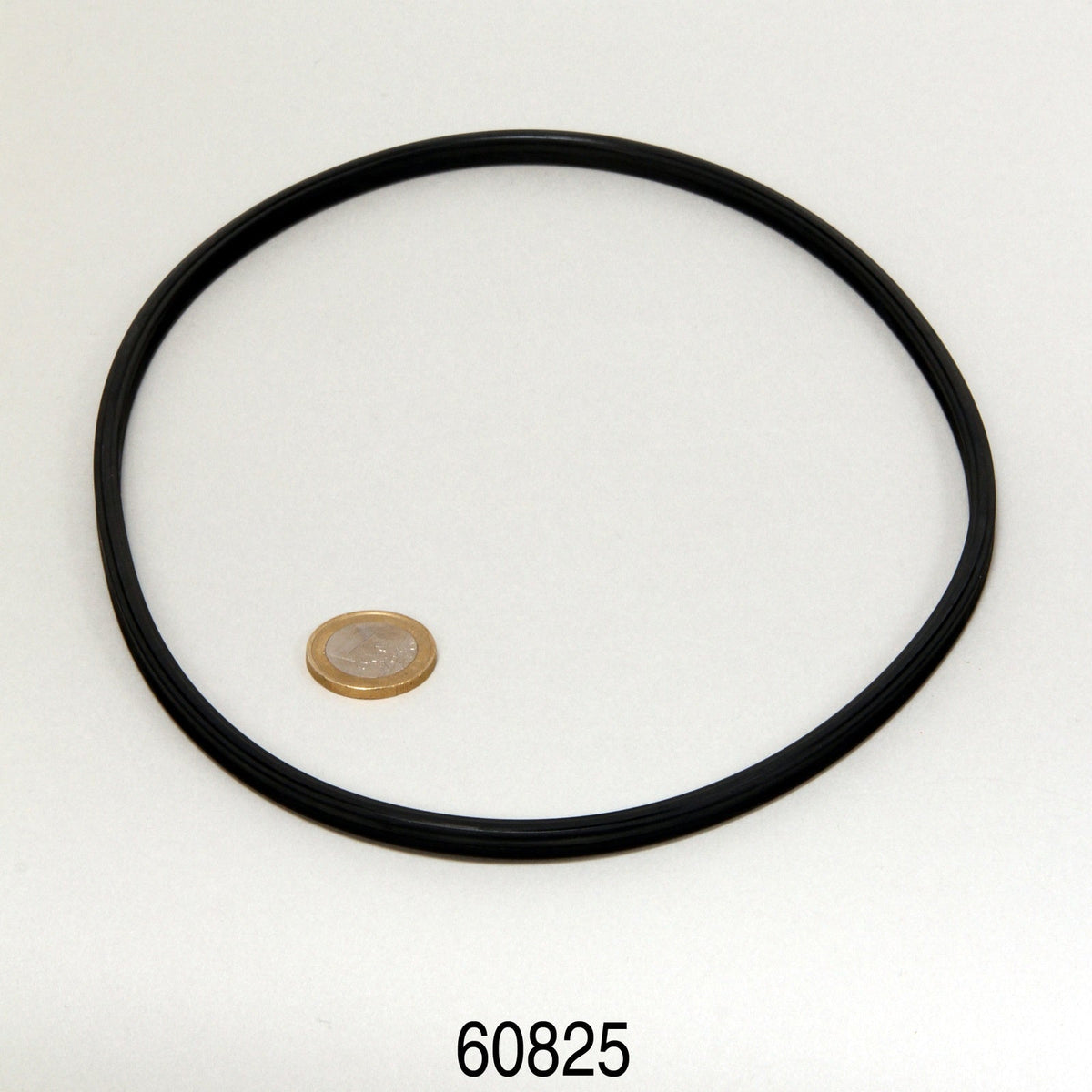 JBL CristalProfi 120-250 Dichting voor Pompkop exploded view