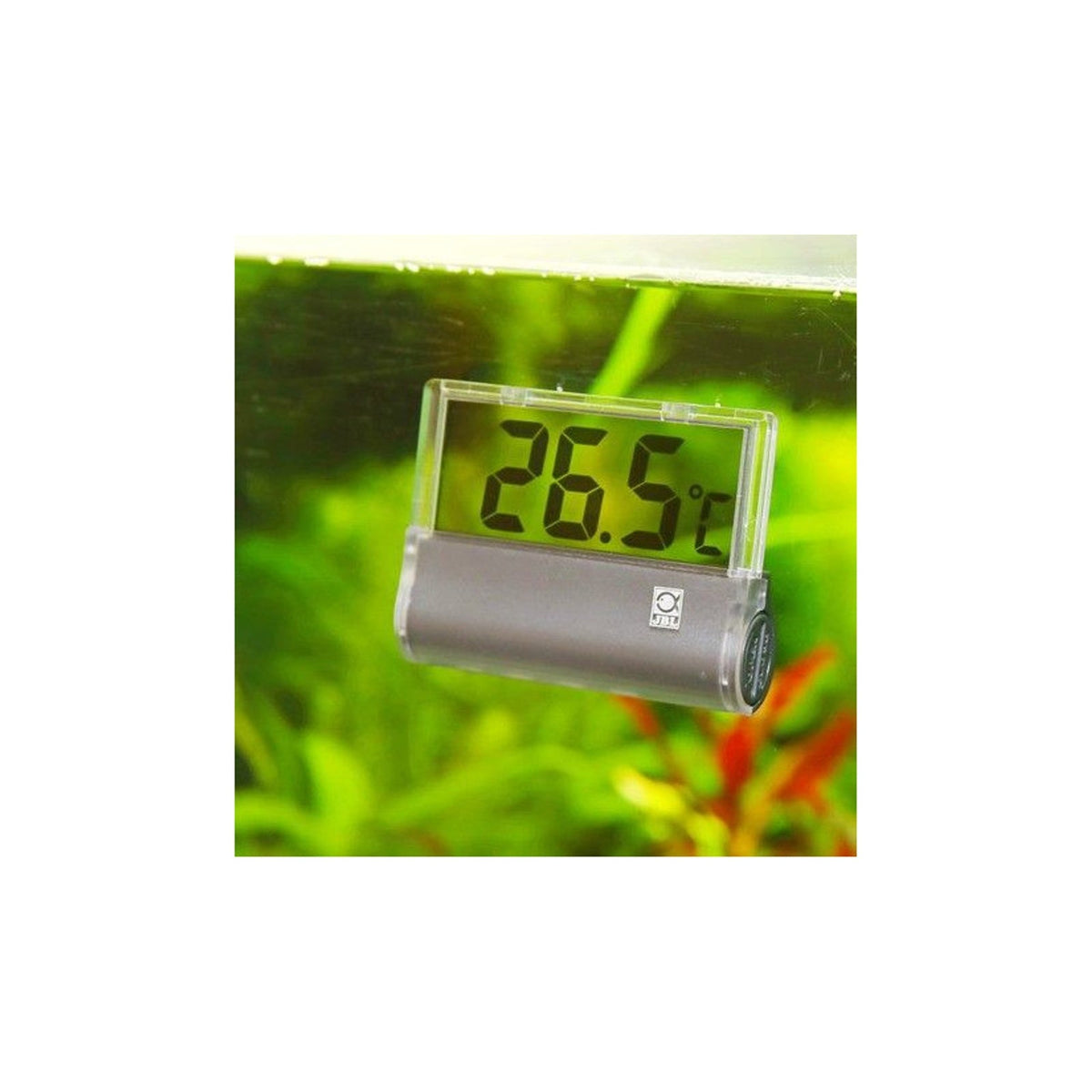JBL DigiScan aquariumthermometer bevestigd op aquariumruit
