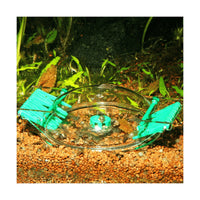 JBL LimCollect II slakkenval in werking op aquariumbodem met gevangen slakken, miniatuur 3