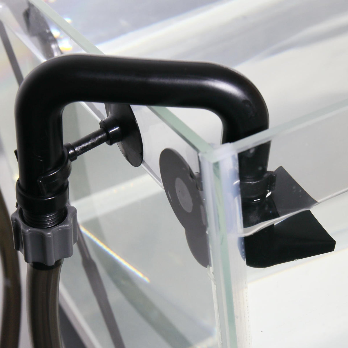JBL OutSet wide 12/16 in werking in aquarium met aangesloten slang