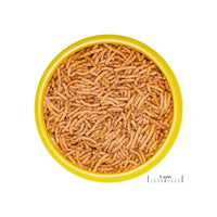 JBL PRONOVO INSECT STICK S drijvende sticks detailopname 1cm schaal, miniatuur 2